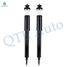 Pair of 2 Rear Complete Shock