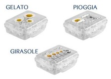 CONTENITORE PORTA UOVA 12 POSTI IN PLASTICA TRASPARENTE CON DIVISORIO