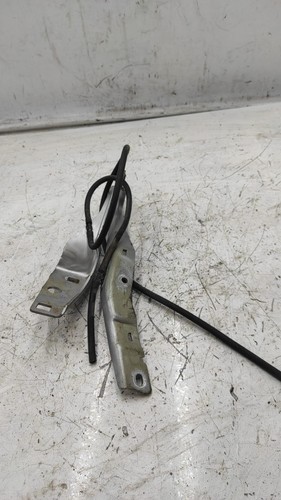 Cerniera cofano anteriore - cofano, sx