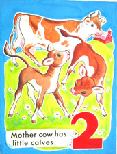1950 MUCCHE LIBRO BAMBINI
