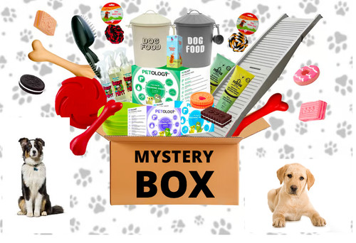 Sorpresa box cane cuccioli - sorpresa,