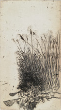 GIUSEPPE ZIGAINA