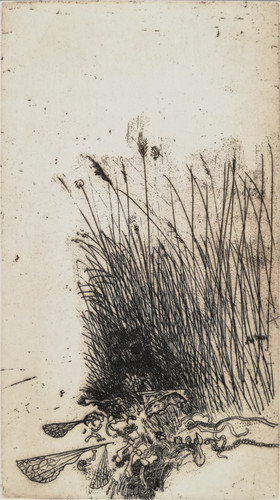Giuseppe zigaina - giuseppe,