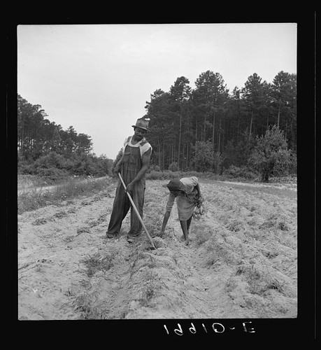 Olive hill north carolina - carolina, 1939