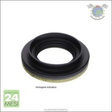 Paraolio ambio manuale Maxgear