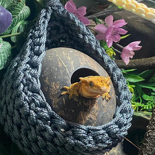 Amaca per Rettili, Accessori