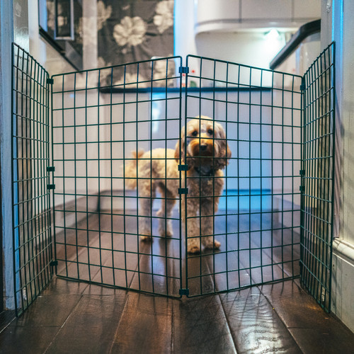 Recinzione per cani - per,