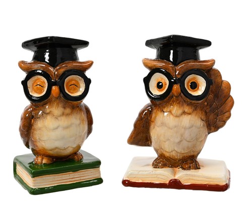 Gufo terracotta con libro - in,