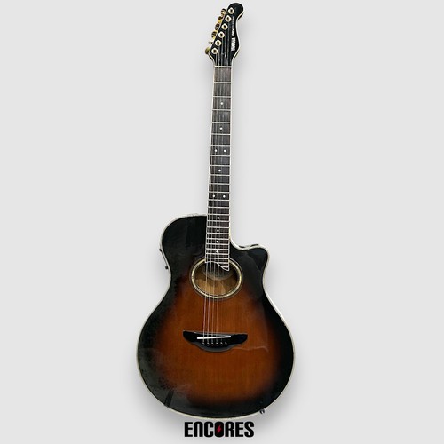 Chitarra elettrica acustica
