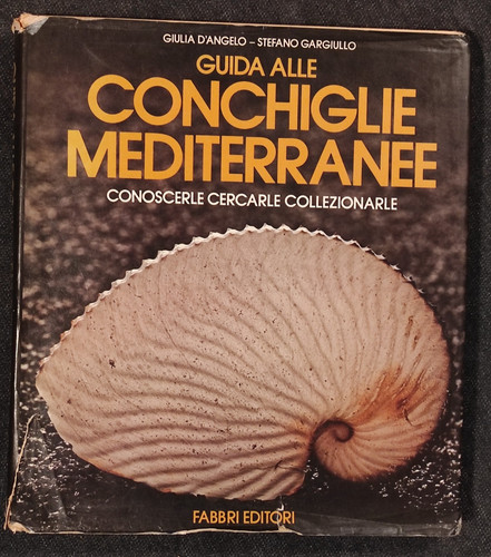 Guida alle conchiglie