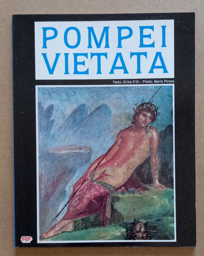 Libro arte storia pompei - arte,