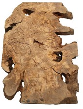 1 x Radice di Ulivo Legno di