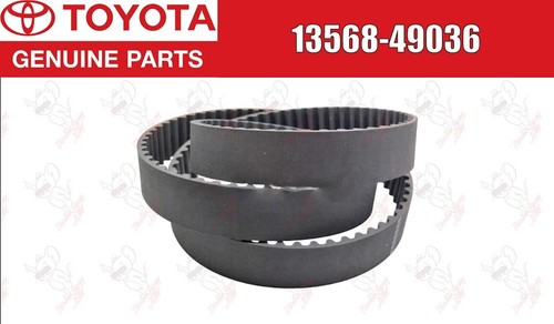 Cinghia distribuzione motore