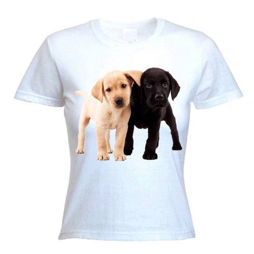 Labrador cuccioli donna - labrador,