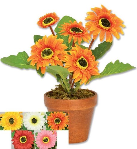Pianta artificiale fiori - pianta,
