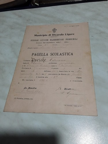 Pagella scolastica elementare - scolastica,