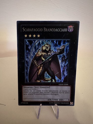 Scarafaggio brancoacciaio - scarafaggio,
