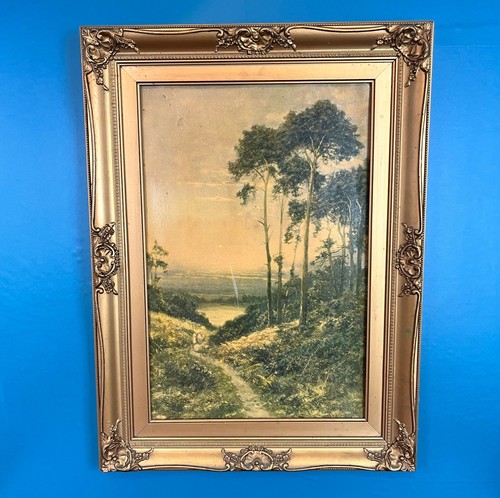 Stampa paesaggio bosco vintage
