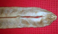 GIROCOLLO-STOLA VISONE. 