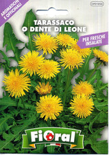 Sementi piante aromatiche e - di,