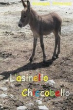 L'asinello Chiccobello