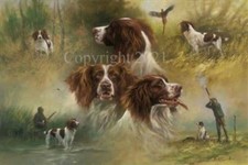 Stampa Fine Art Mick Cawston