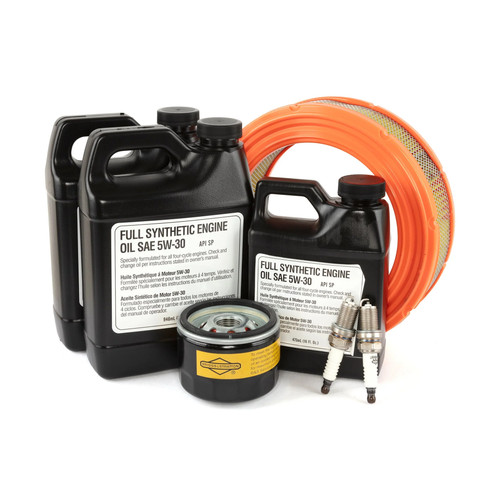 Kit manutenzione briggs - kit,