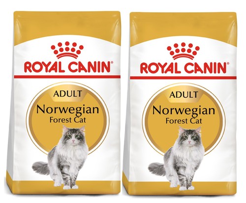 Royal canin norvegese - royal, cibo