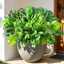 12pz stili piante - 12pz,