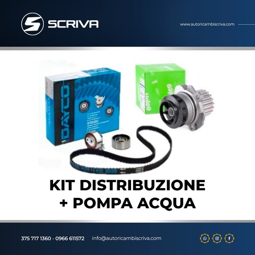 Kit distribuzione pompa - kit,