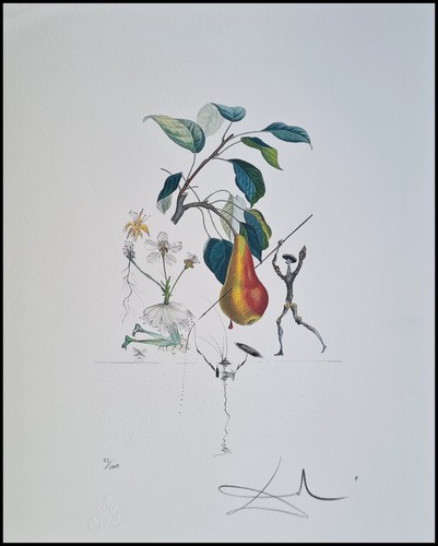 Salvador dali don - dali, chisciotte