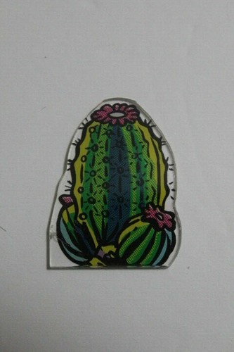 Bally cactus canyon - cactus,