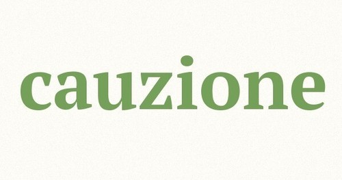 Cauzione garanzia - cauzione,