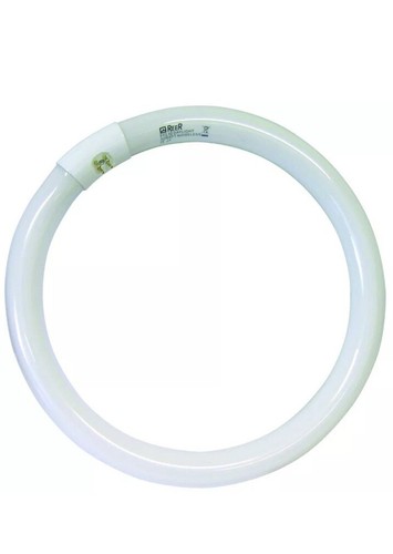 Reer neon fluorescente