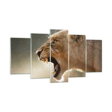 Quadro su Vetro 160x85cm Leone