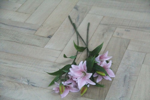 Parquet spina pesce - spina,