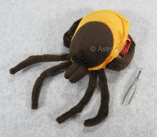 Microbi giganti tick imbottito - microbi, giganti-tick-imbottito