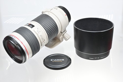Obiettivo zoom canon - obiettivo, ef