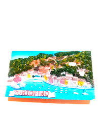 MAGNETE CALAMITA FRIGO