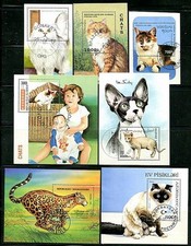 Gatti Collezione Usato x7 S/S