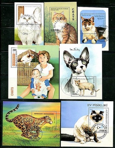 Gatti collezione usato - collezione, x7