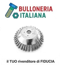 Spazzola Acciaio Erbacce per