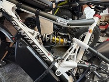 Ammortizzatore posteriore Cane