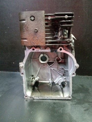 Blocco motore classico - , briggs