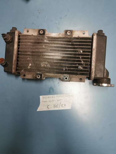 Radiatore sym 200 - radiatore,