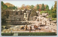 Cartolina Kodiak Orso Detroit