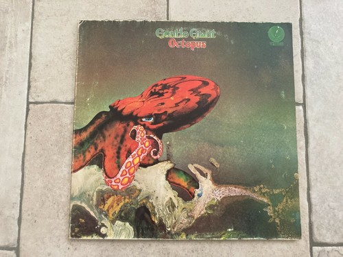 Gentle giant octopus - octopus, _