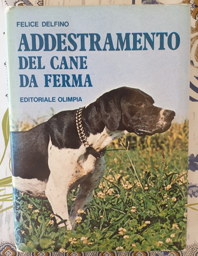 Felice delfino addestramento - delfino, "