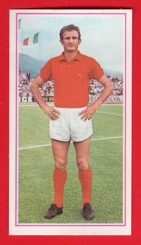 Figurina calciatori panini - figurina,