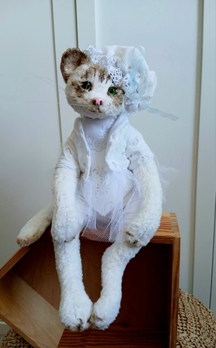Teddy gatto bianco neve - ,